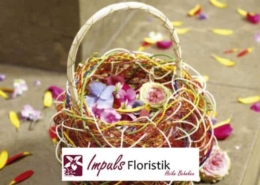 Impuls Floristik