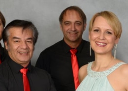 Show und Party Band Mirage aus Landshut Quintett
